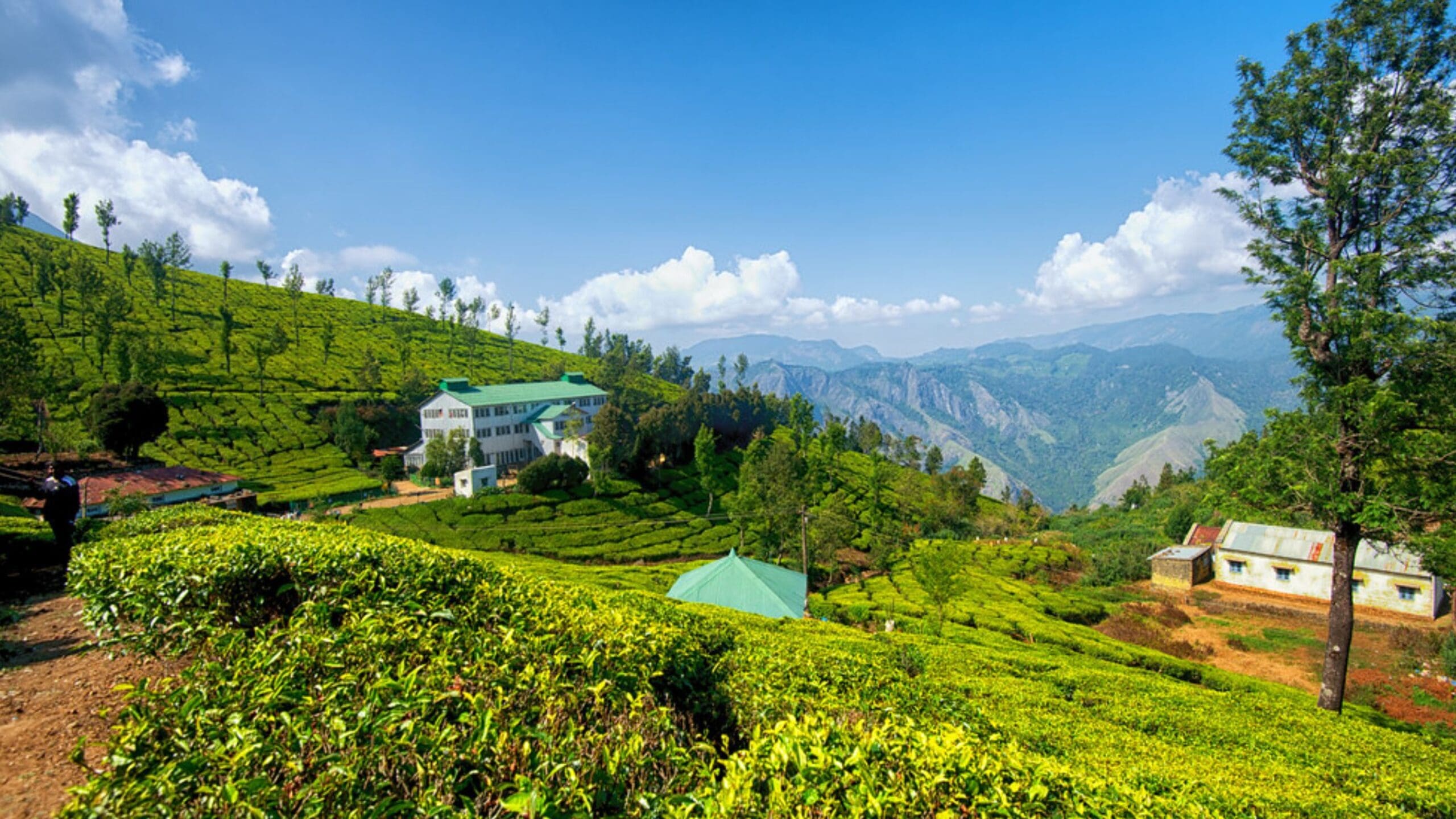 best-places-to-visit-in-munnar