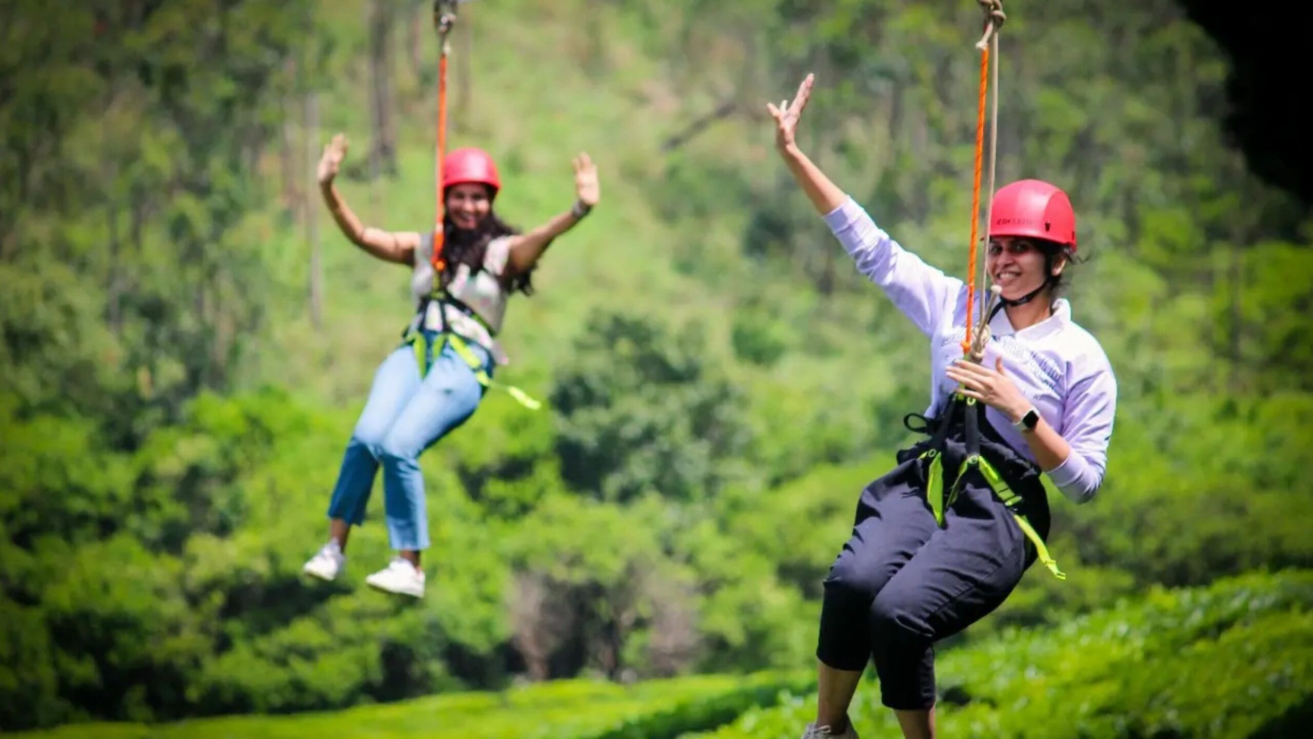 dreamland-munnar-adventure