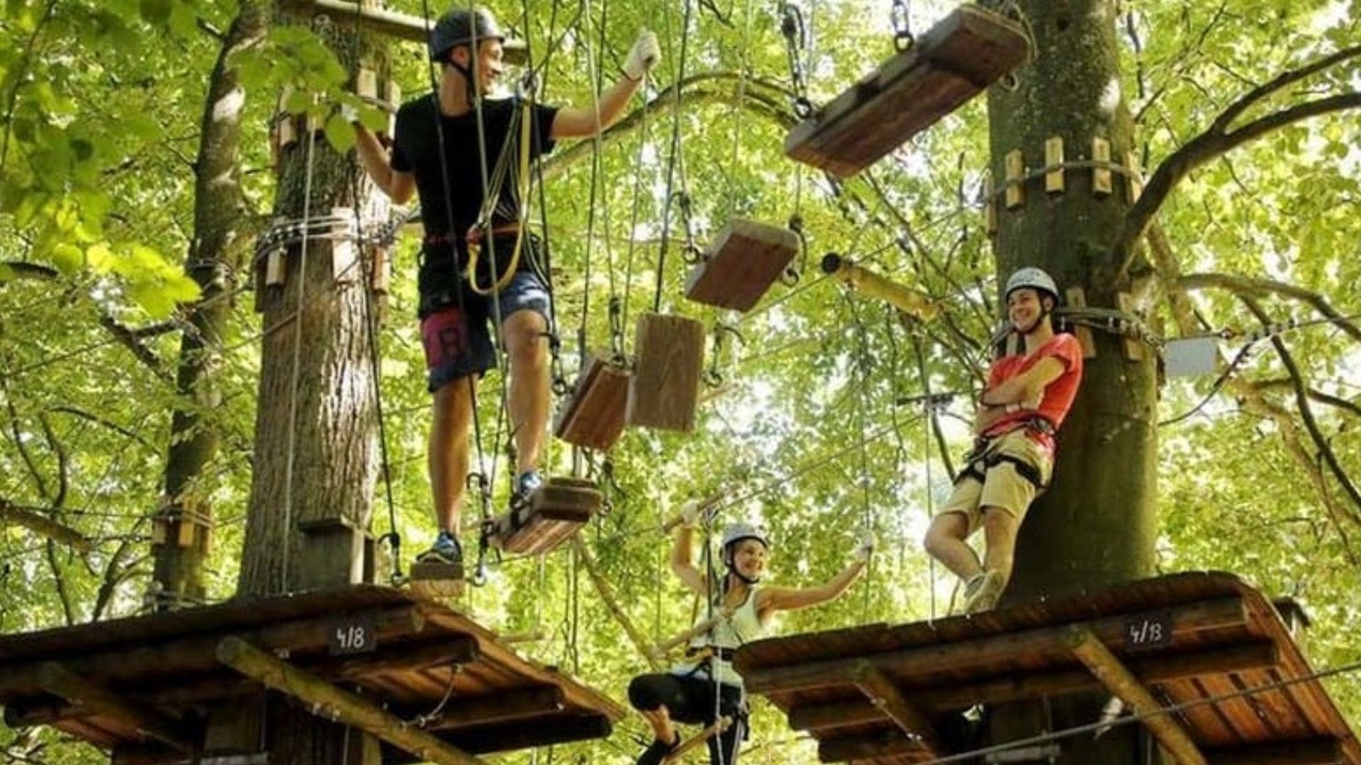 fun-forest-adventure-park