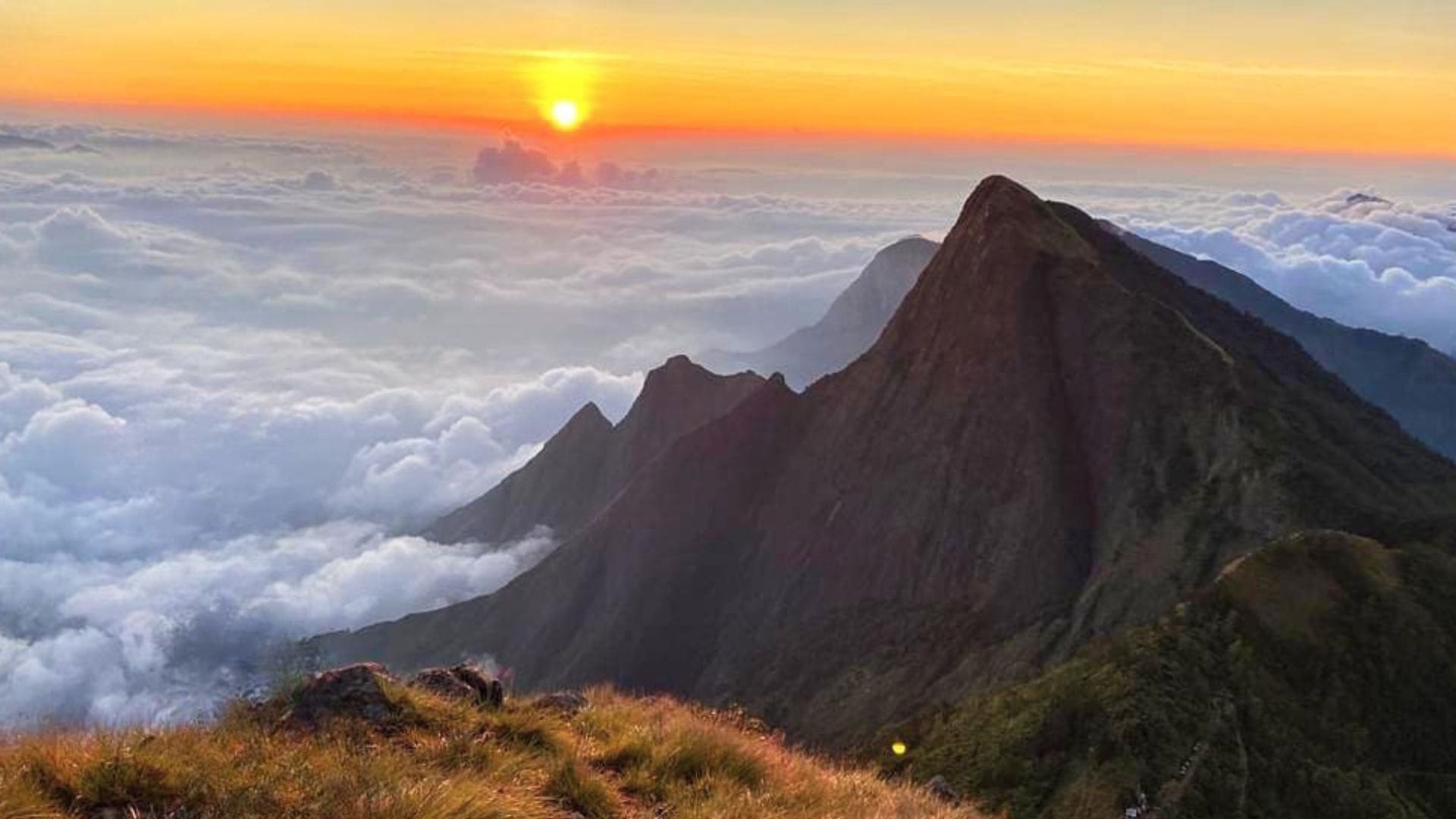 kolukkumalai-tea-estate