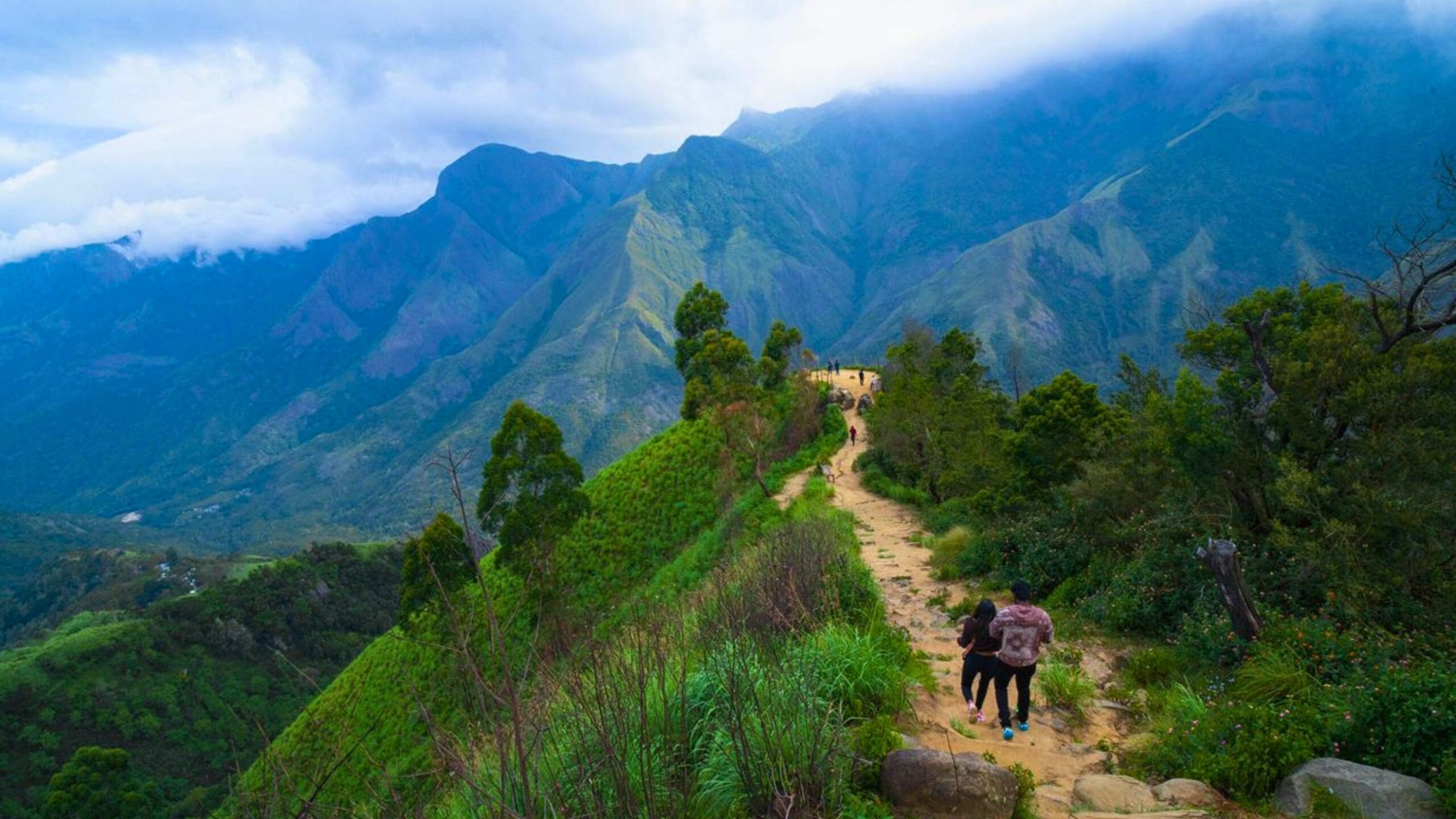 top-station-munnar