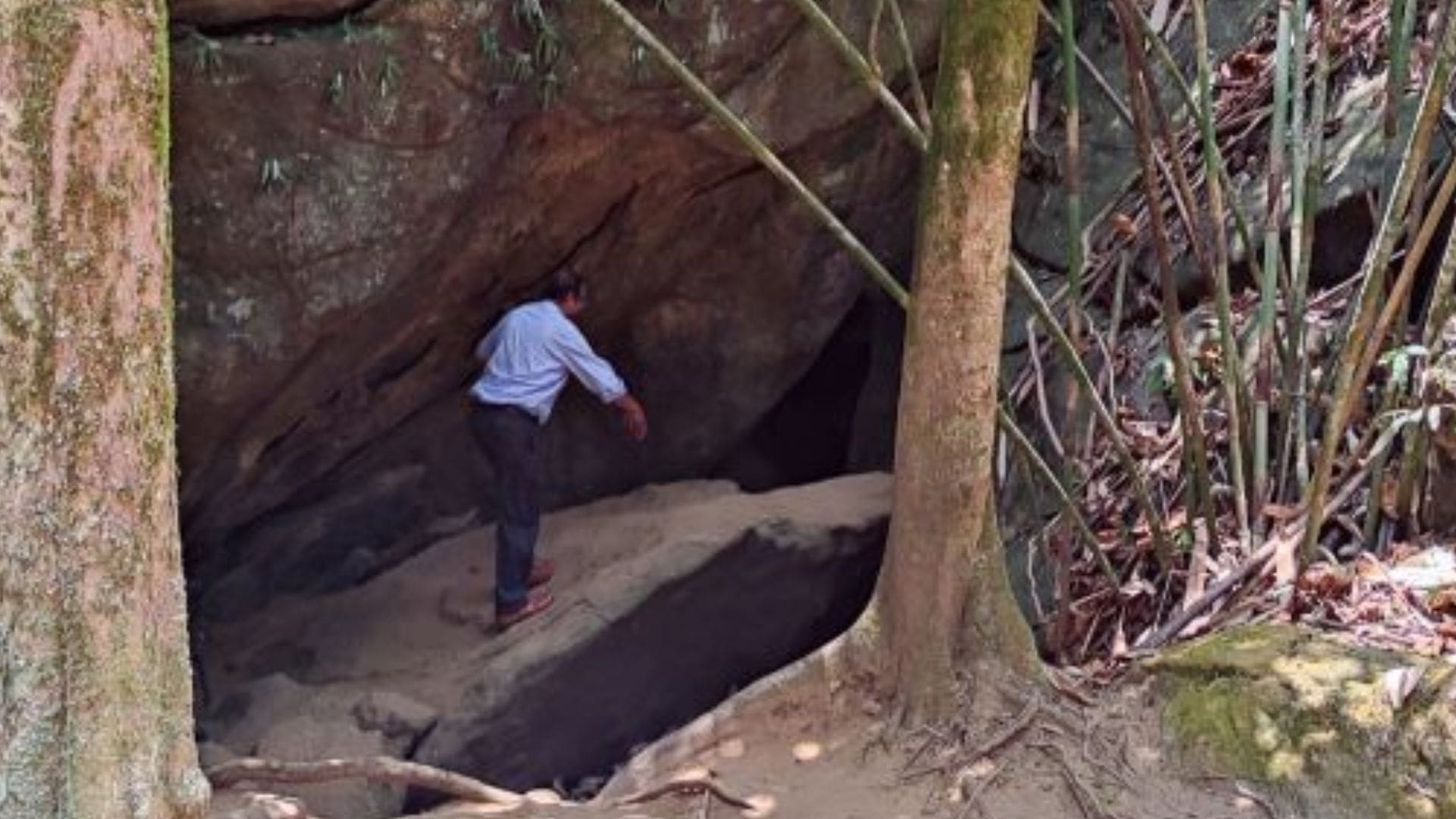tiger-caves-munnar