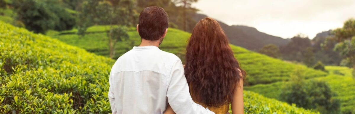 Honeymoon in Munnar- Complete Guide for 2026 (UPDATED)