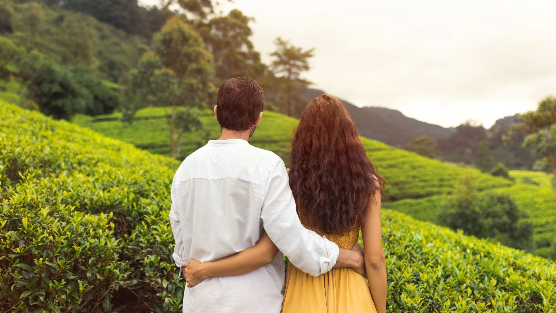 Honeymoon in Munnar- Complete Guide for 2026 (UPDATED)