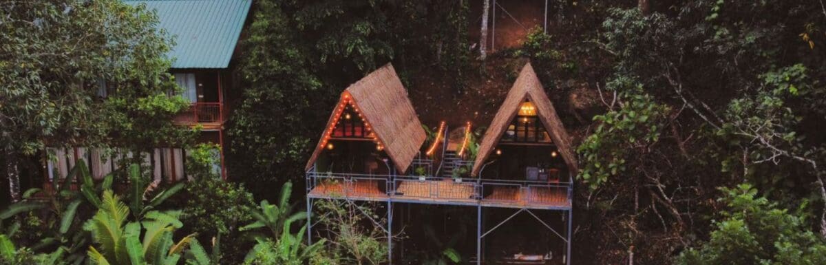 Unique Stays in Munnar