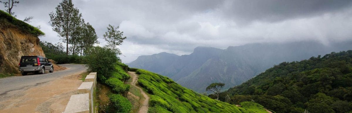 Munnar vs Vagamon- Which is better?