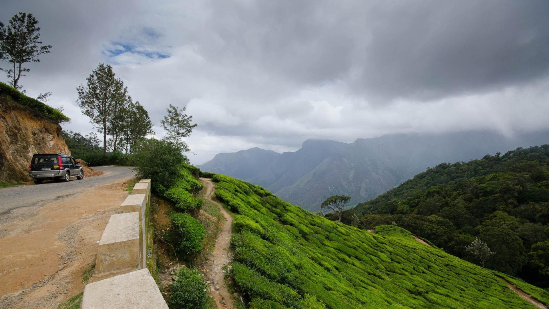 lockhart-gap-munnar