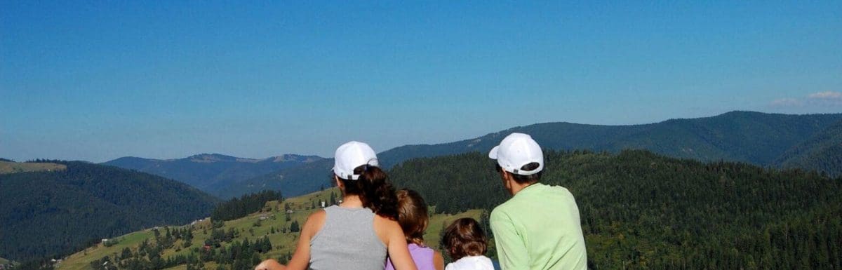 Planning a Munnar Family Trip? A Comfortable 3-Day Plan (No Treks)