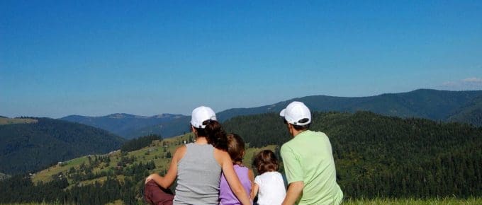 Planning a Munnar Family Trip? A Comfortable 3-Day Plan (No Treks)