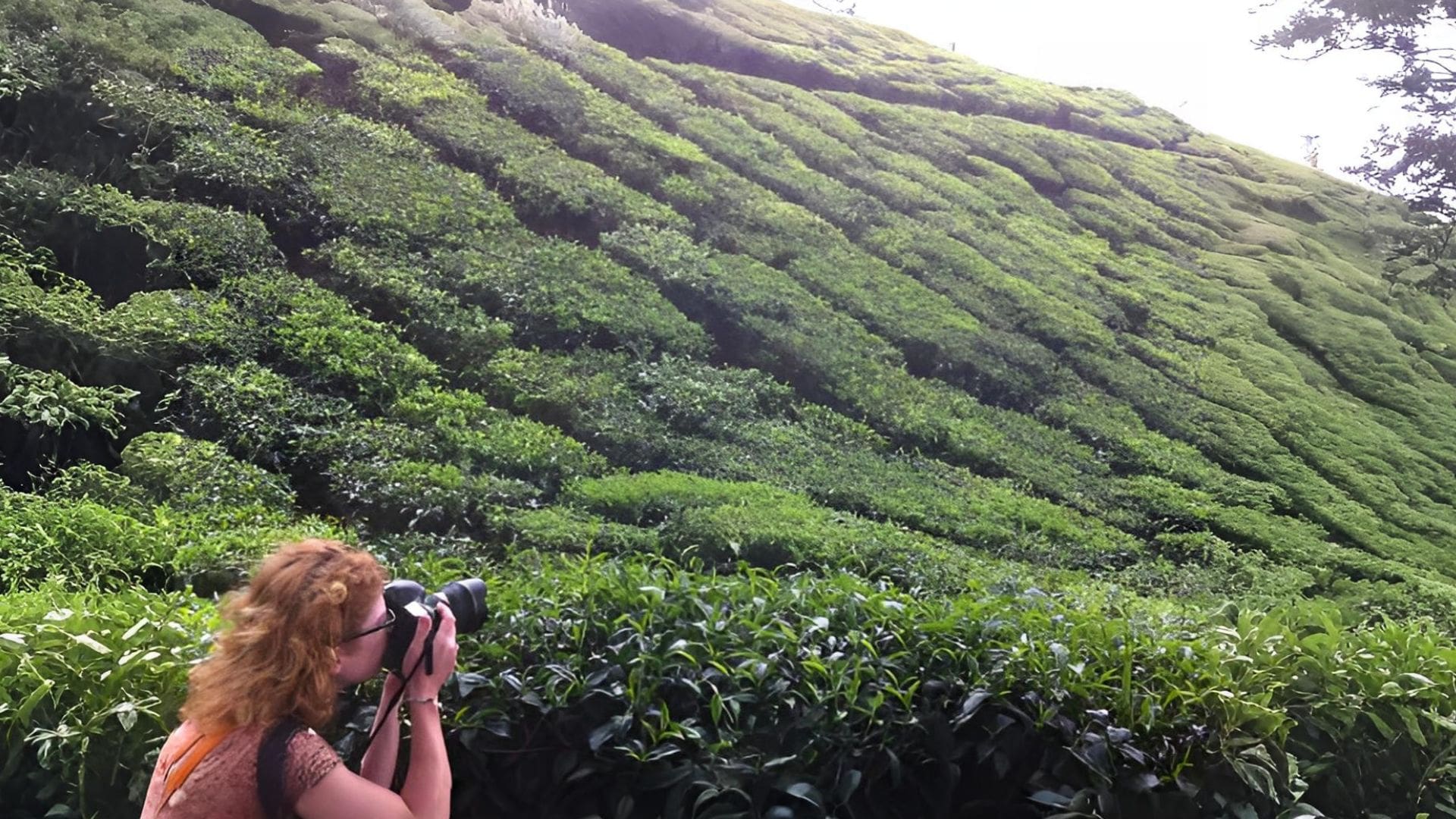 munnar-photography