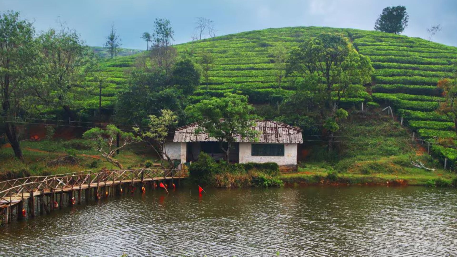 vagamon-kerala-hill-station