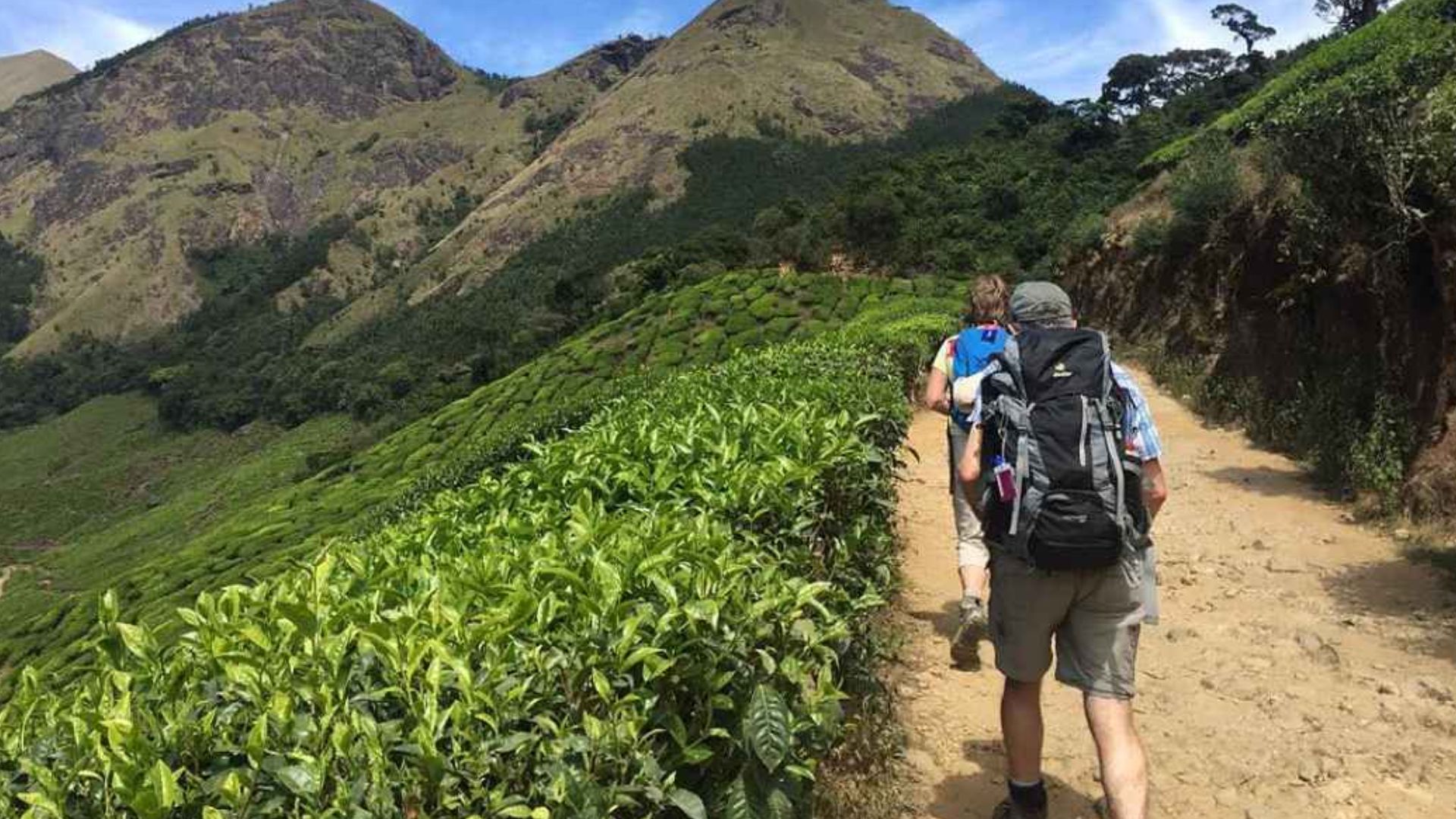 munnar-famous-for0-trekking