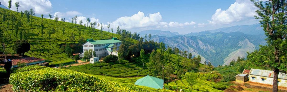 What Is Munnar Famous For-10 Reasons Why Tourists Love Munnar