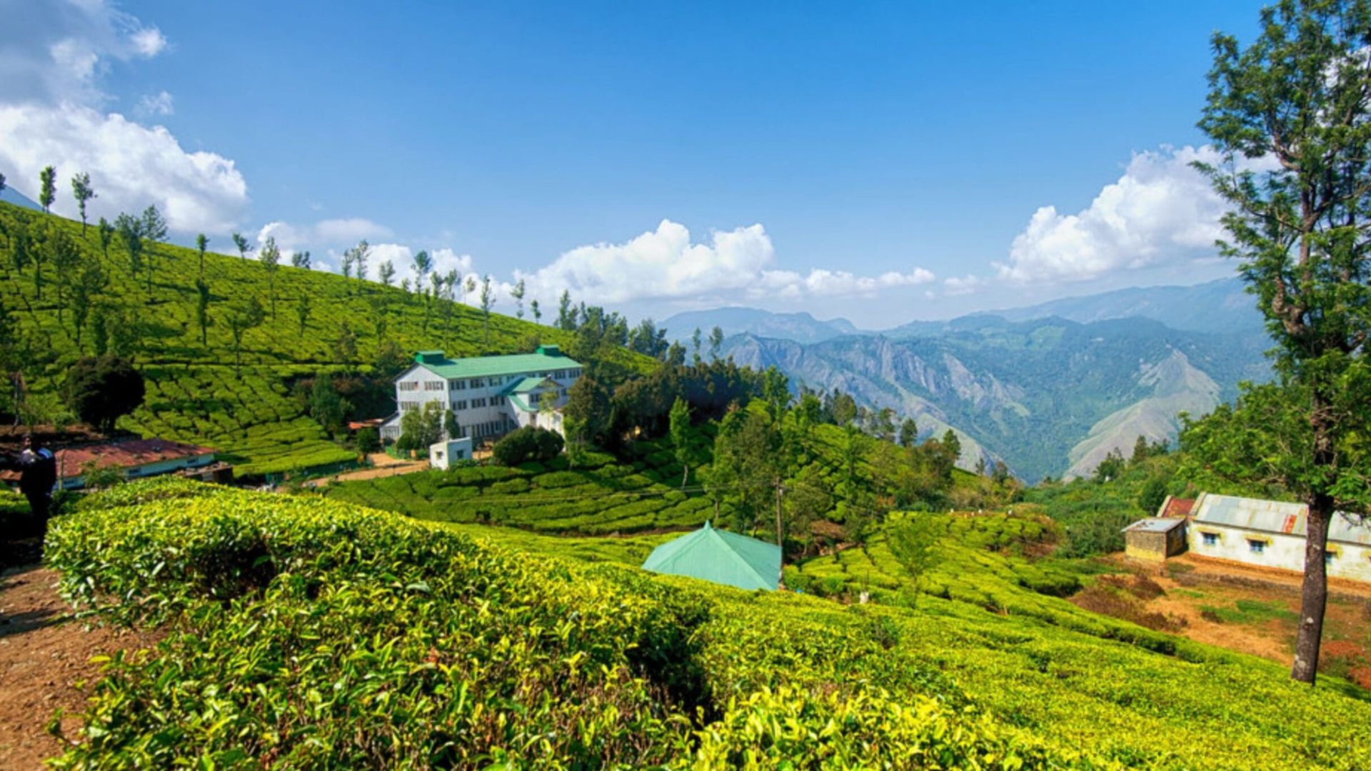 kolukkumalai-tea-estate