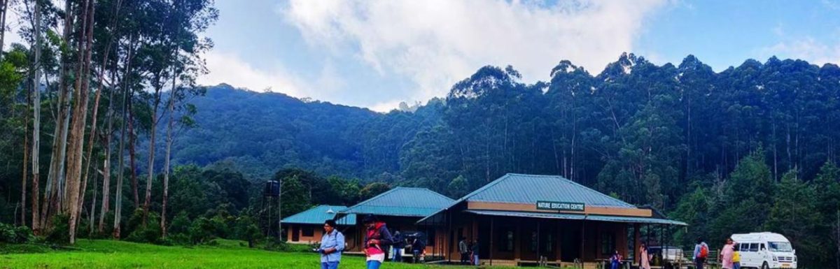 Pampadum Shola National Park- Trek Guide, Entry Fee, Timings and Things to Do