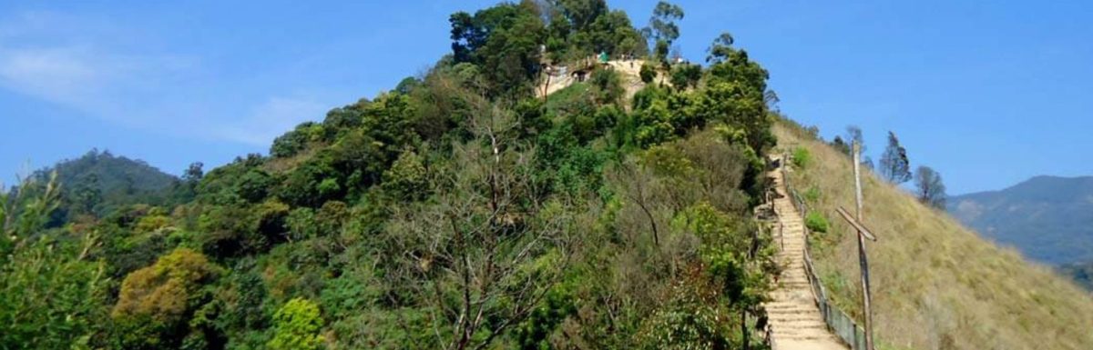 Top Station Munnar-Is It Worth It?
